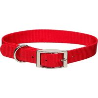 red-dog-collar